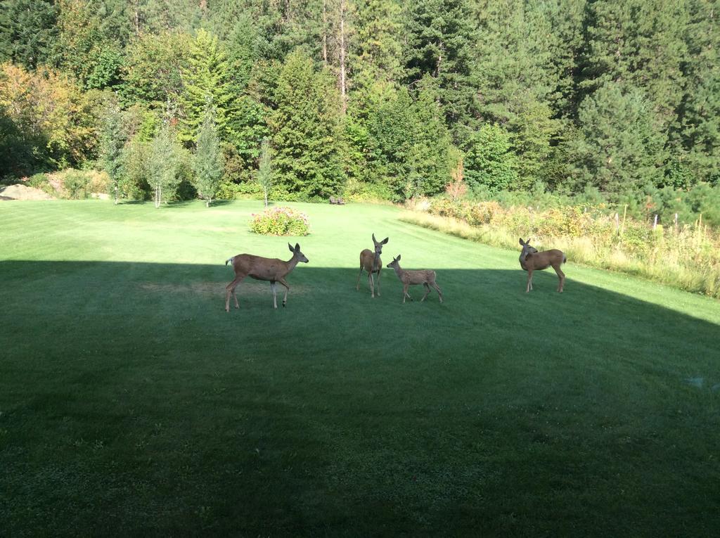 Granite Hills Inn Leavenworth Zewnętrze zdjęcie